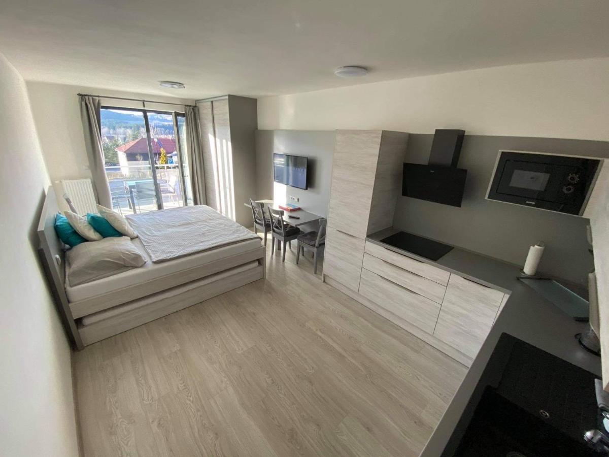 Apartman Denisa Lipno nad Vltavou Bagian luar foto