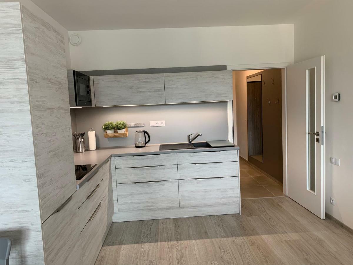 Apartman Denisa Lipno nad Vltavou Bagian luar foto