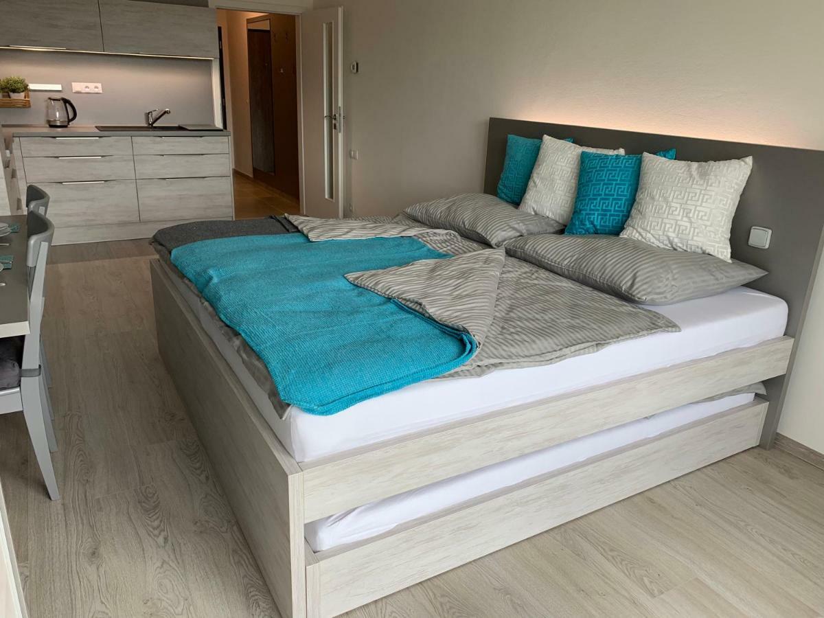 Apartman Denisa Lipno nad Vltavou Bagian luar foto