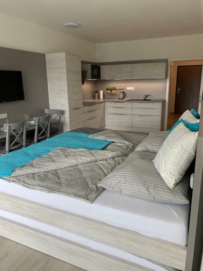 Apartman Denisa Lipno nad Vltavou Bagian luar foto
