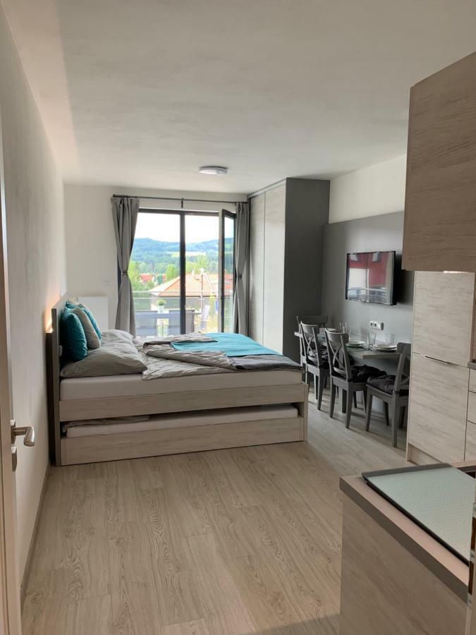 Apartman Denisa Lipno nad Vltavou Bagian luar foto